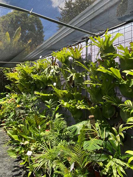 nursery4