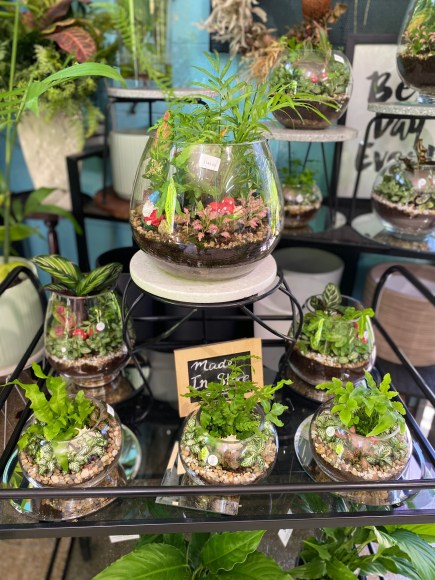 terrariums